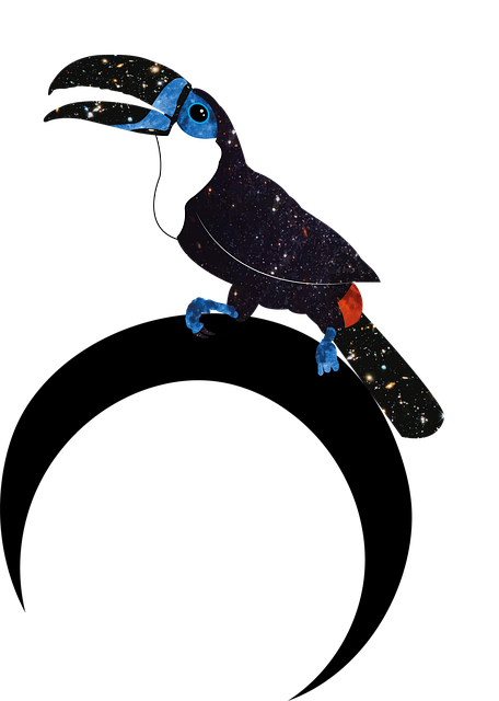 Tukan, Vogel, Natur, Tropisch, Exotisch