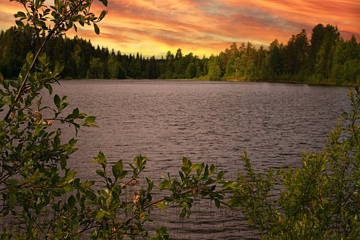 Lago, Arvores, Ondas, Pôr Do Sol
