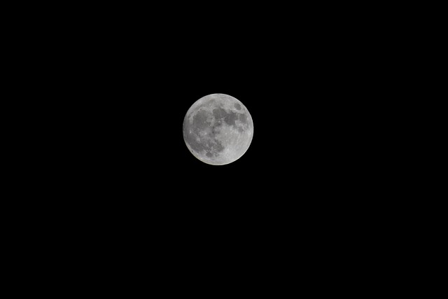 Free Night Sky Moon photo and picture