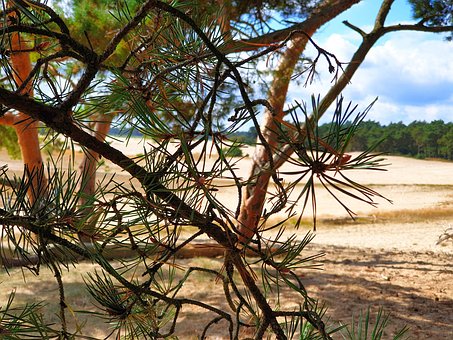 Free Nature Landscape photo and picture
