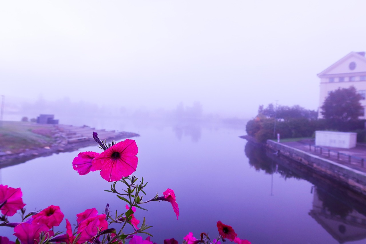 flowers-nature-river-free-photo-on-pixabay-pixabay