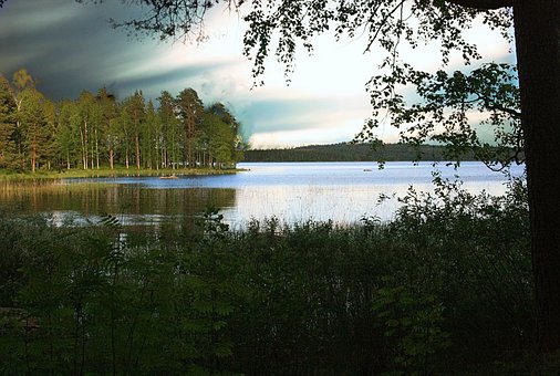 Arvores, Floresta, Lago, Agua