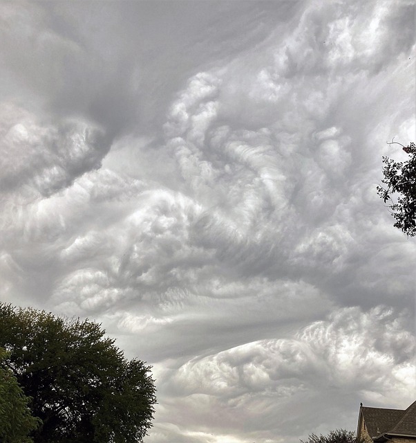 Free Storm Thunderstorm photo and picture