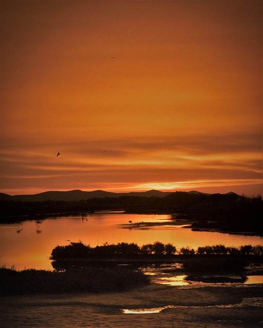 Sø, Solnedgang, Vådområde, Tusmørke