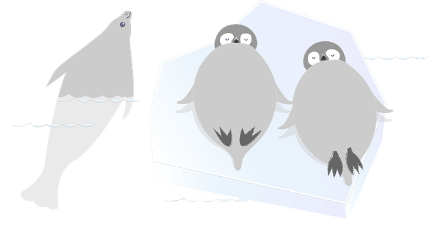 Vogel, Pinguin, Siegel, Seelöwe
