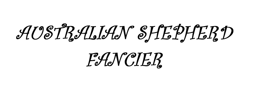 Free Australian Shepherd Aussie illustration and picture
