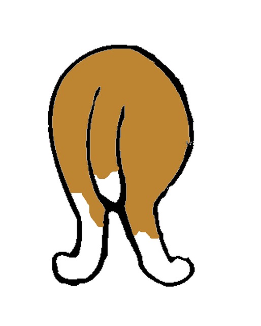 Free Beagle Dog photo and picture
