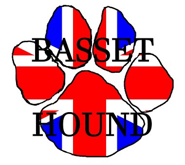 Free Basset Hound Basset Hound T Shirts photo and picture