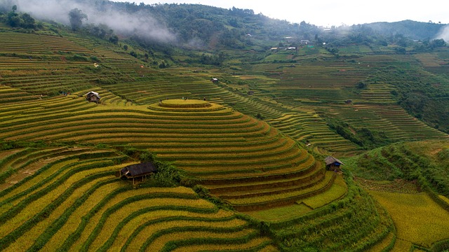 Landwirtschaft, Landschaft, Terrassen