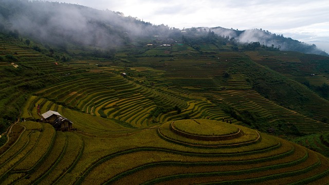 Agricultura, Naturaleza, Terrazas, Campo