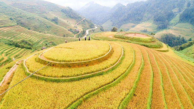 Agricultura, Naturaleza, Terrazas, Campo