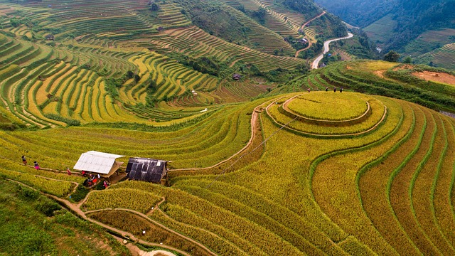 Landwirtschaft, Natur, Terrassen, Feld