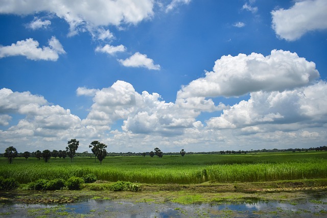 Free Nature Field photo and picture