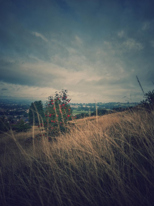 Hill Sky Countryside - Free photo on Pixabay - Pixabay