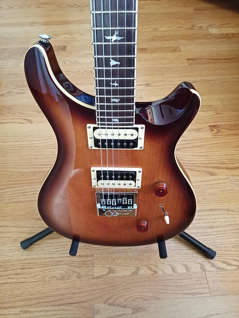 Free Electric Guitar Guitar photo and picture