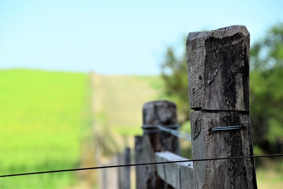 Fence Field Rural Wooden - Free photo on Pixabay - Pixabay