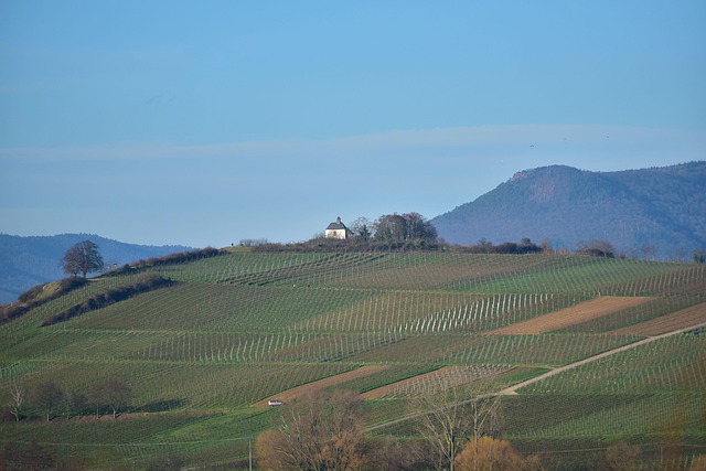 Palatinado, Ilbesheim, Arzheim, Landau