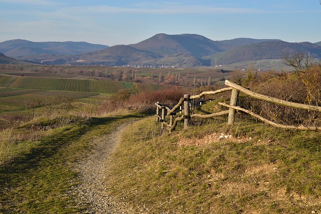 Para Pasear, Naturaleza, Paisaje