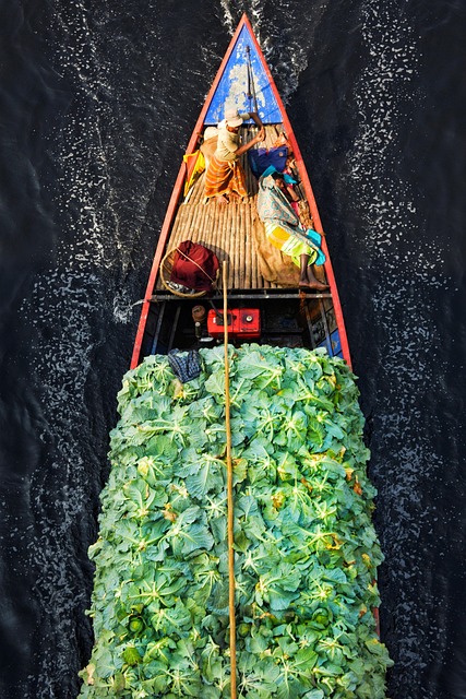 Free Boat River photo and picture