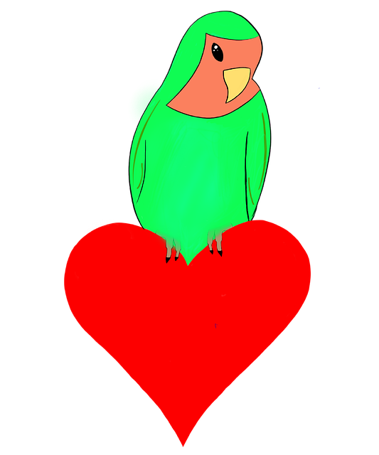 Free Bird Lovebird illustration and picture