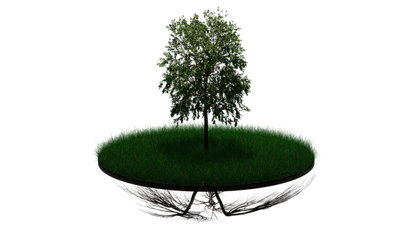 Free Tree Tree Of Life illustration and picture