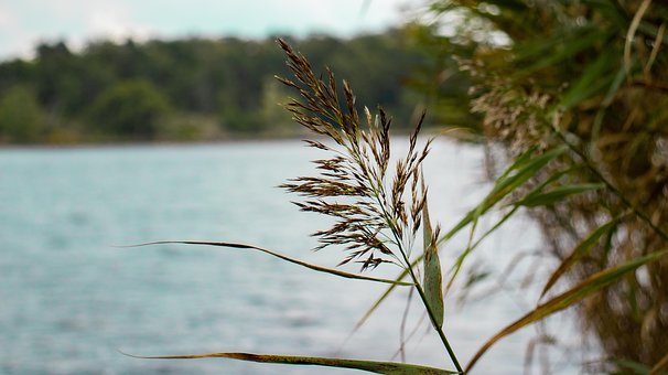 Natur, See, Hd-Hintergrund, Draußen