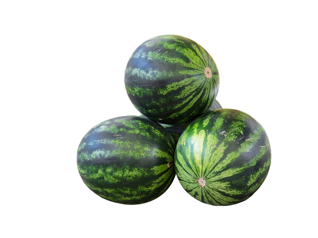 Free watermelons fruits food illustration