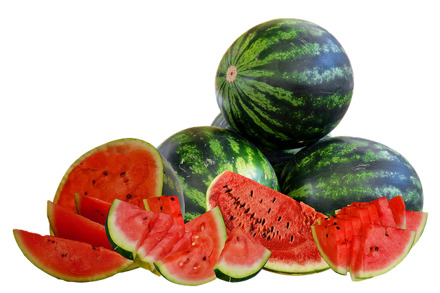 Free watermelons fruits food illustration