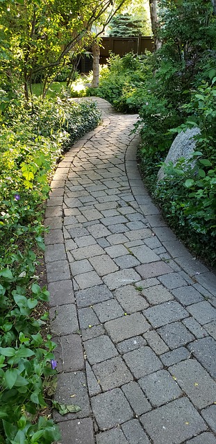 Free Pathway Path photo and picture