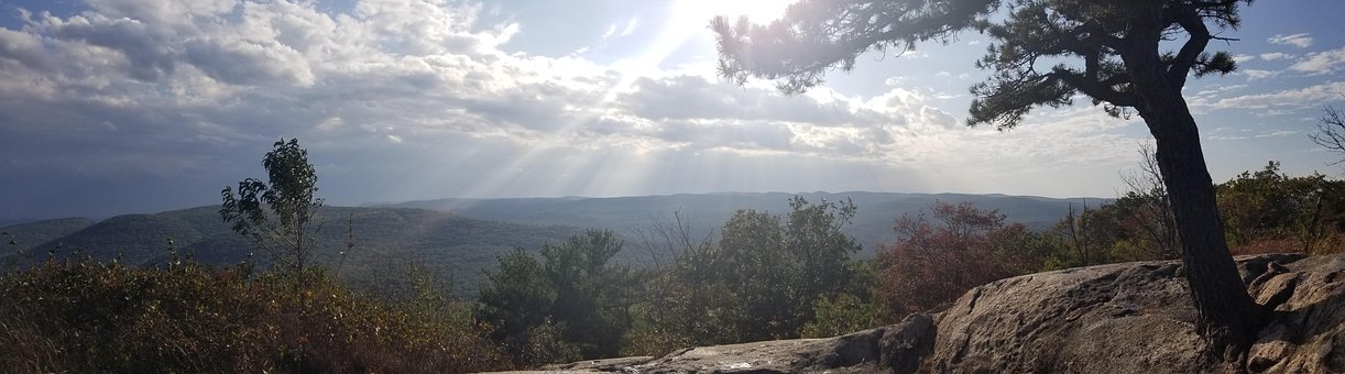 Free Light Nature photo and picture