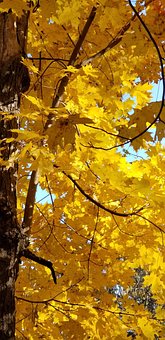 Free Nature Colorful photo and picture