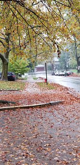 Free Nature Autumn photo and picture