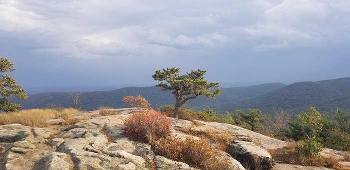 Free Nature Trail photo and picture