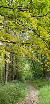 Free Nature Trail photo and picture