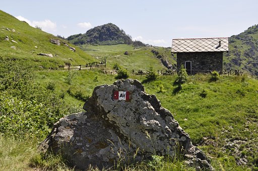 Free Trail Marker photo and picture
