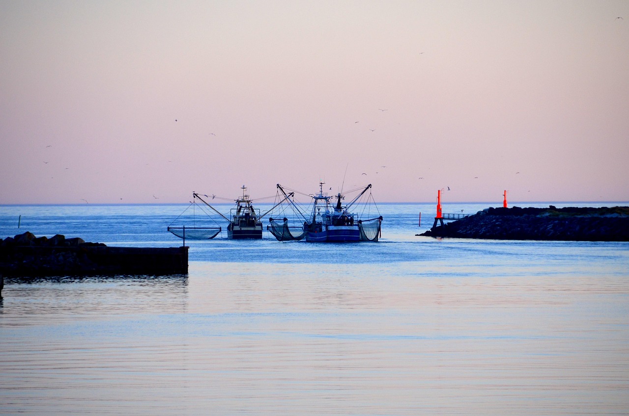 fishermen-6678403_1280 image