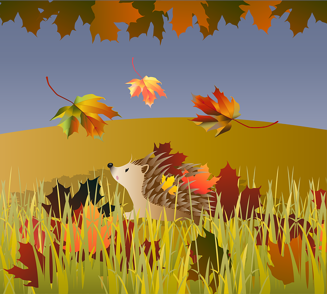 Free hedgehog animal autumn vector
