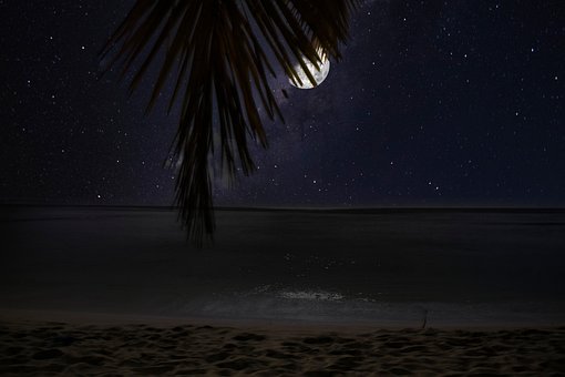 Free Caribbean Night Moon photo and picture