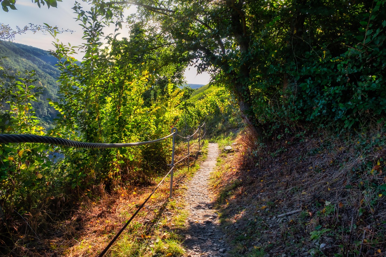 Trail - free online jigsaw puzzle photo