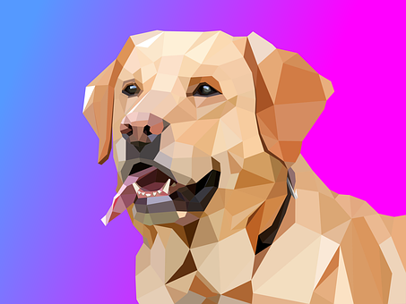 Dyr, Hund, Labrador, Design, Geometriske