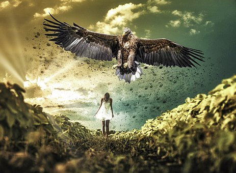 Free Fantasy Eagle illustration and picture