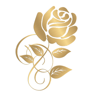 Free Flower Rose illustration and picture