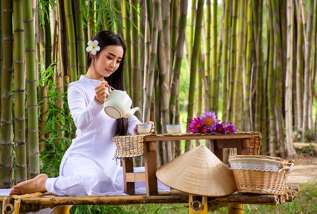 Free Myanmar Woman photo and picture
