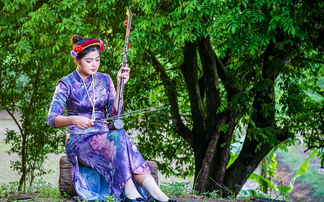 Free Myanmar Erhu photo and picture