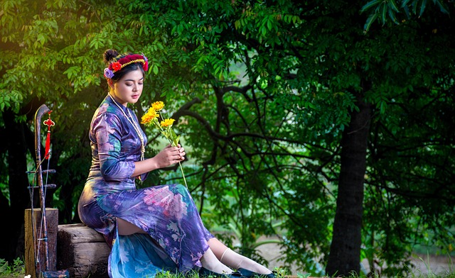 Free Myanmar Erhu photo and picture