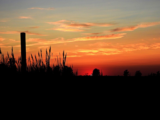 Free Night Summer photo and picture