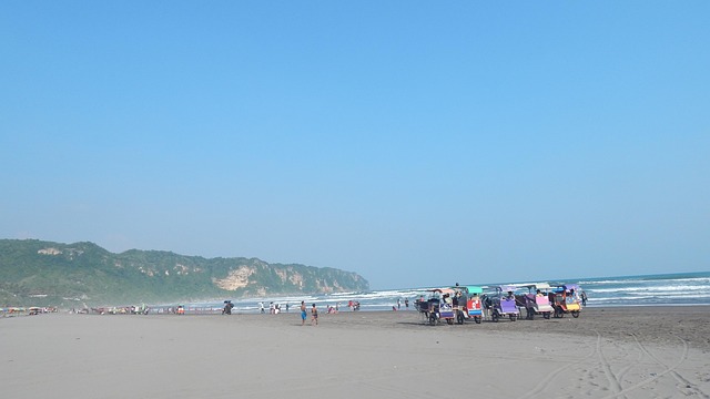 Free Beach Tropical photo and picture