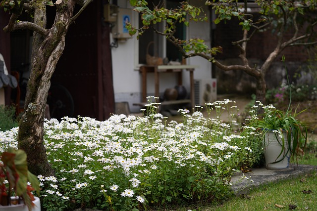 Free Backyard Garden photo and picture