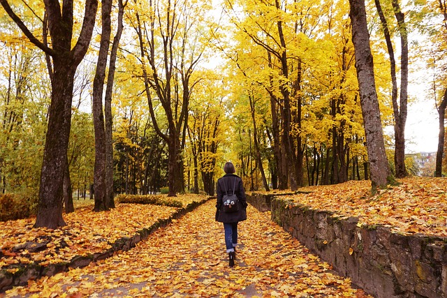 Free Park Woman photo and picture