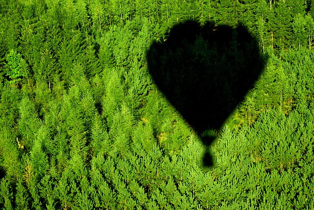 Free Balloon Wilderness photo and picture